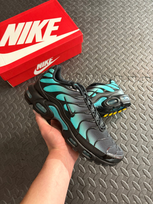 Nike Air Max Plus TN 'Dusty Cactus'